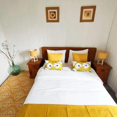 Cafe De France Bed & Breakfast *