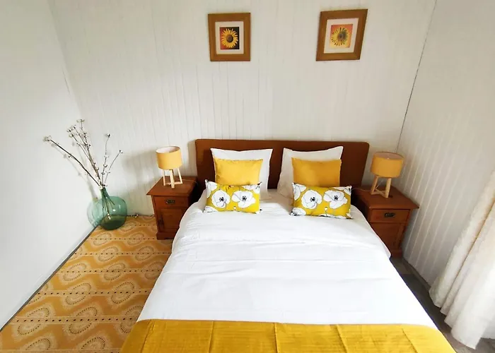 Cafe De France Bed & Breakfast 3*